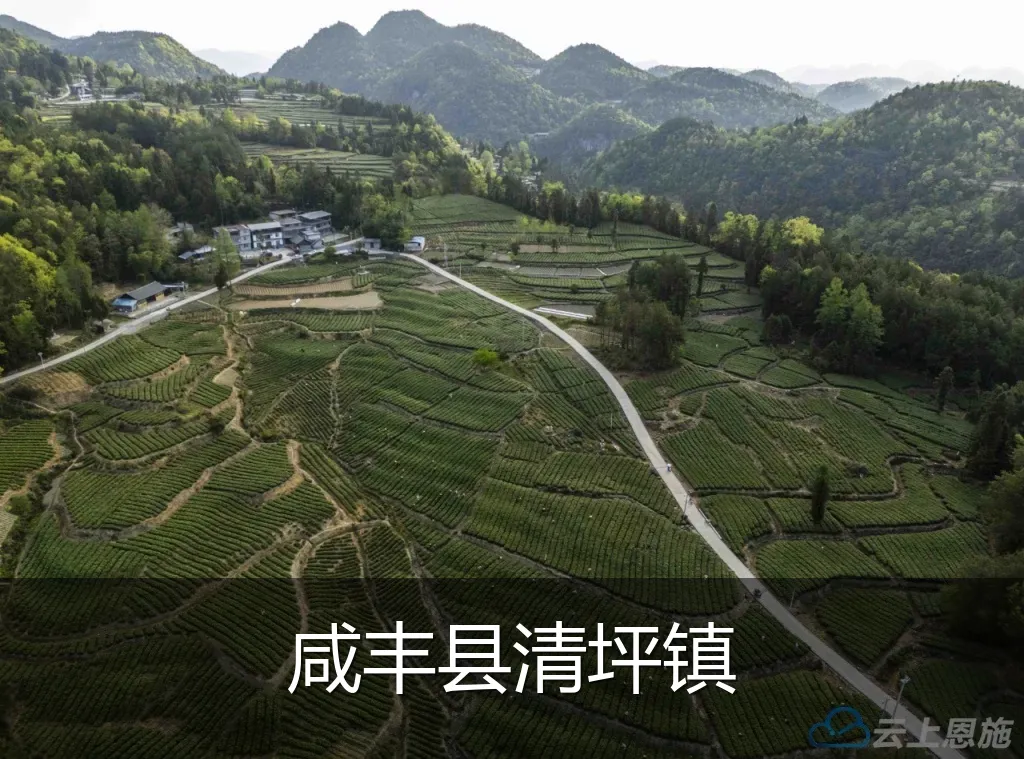咸丰县清坪镇