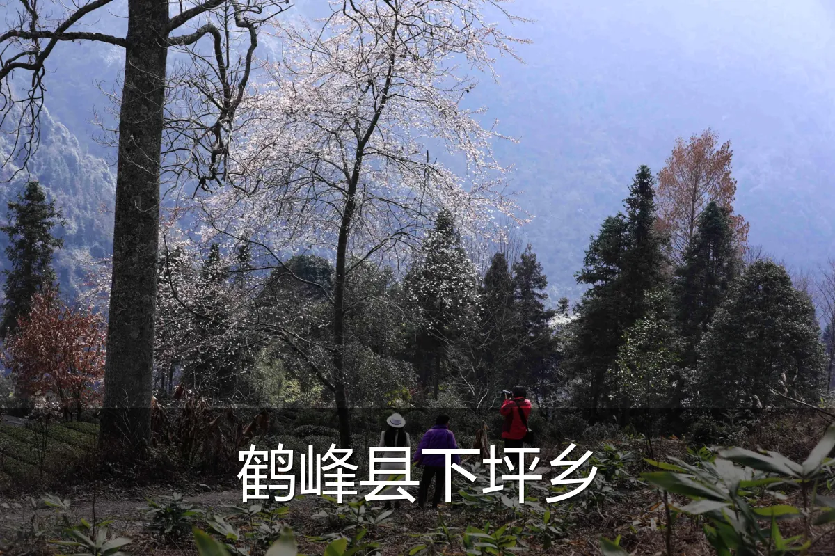 鹤峰县下坪乡